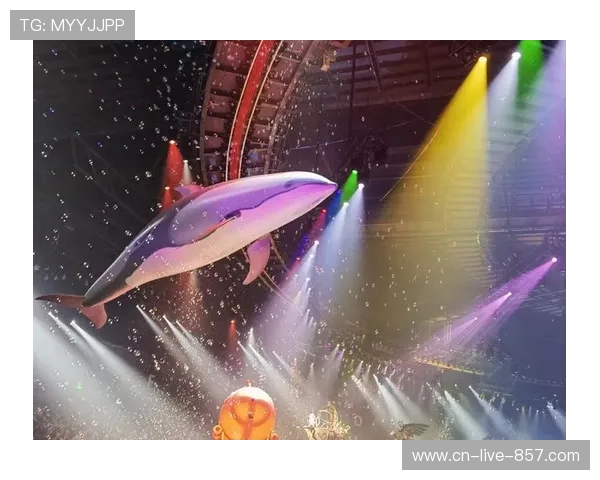 AR导航系统指引观众寻找座次 缓解大型体育馆赛前人流拥挤